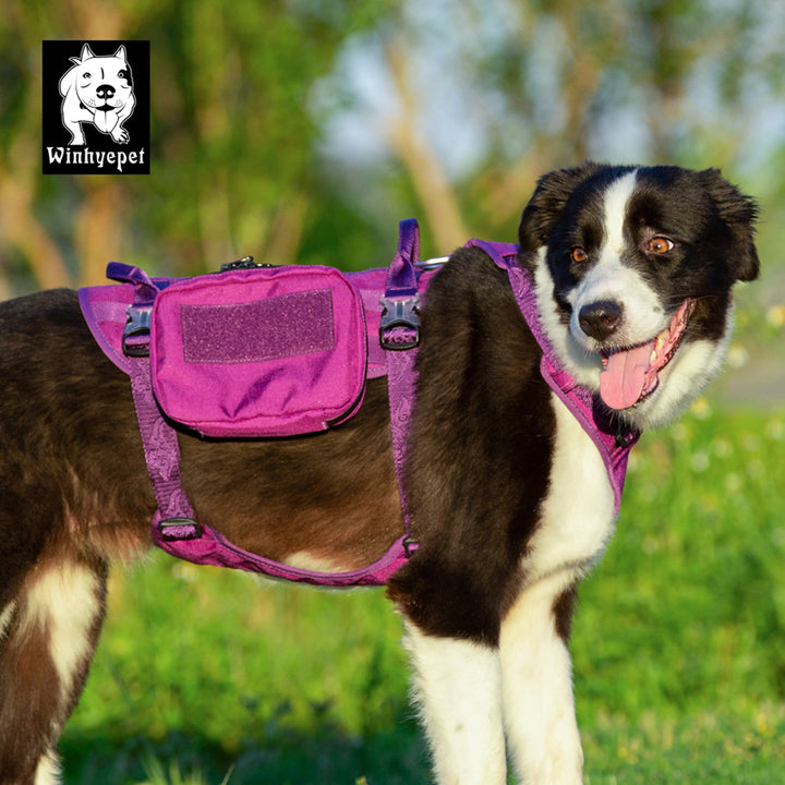Whinhyepet Military Harness